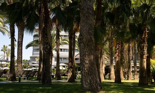 turkey/antalya/miramarebeachhotele9d25295.jpg