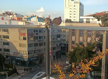 turkey/antalya/muratpasa/oldtowngrandaparthotelc5b48c77.jpg
