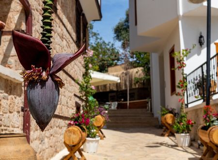 turkey/antalya/muratpasa/sanctakanaboutiquehotelspa886035f6.jpg