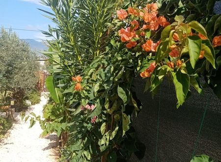 turkey/antalya/rivierabungalowevleridemre1b832e1c.jpg