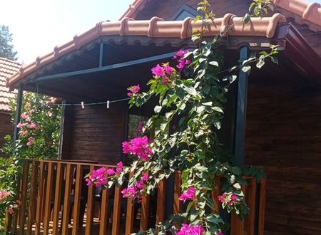 turkey/antalya/rivierabungalowevleridemre455a0250.jpg