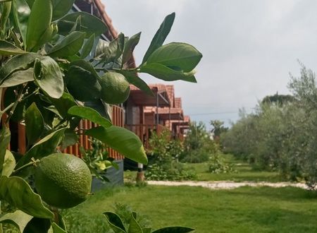 turkey/antalya/rivierabungalowevleridemre507660f3.jpg