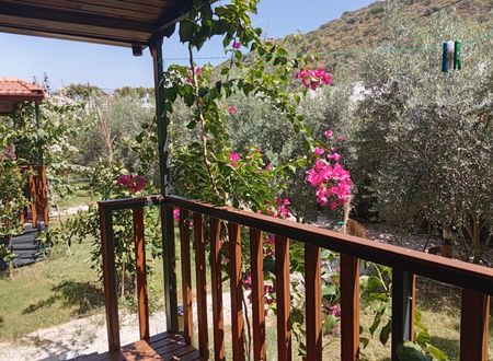 turkey/antalya/rivierabungalowevleridemre6cf0d9df.jpg
