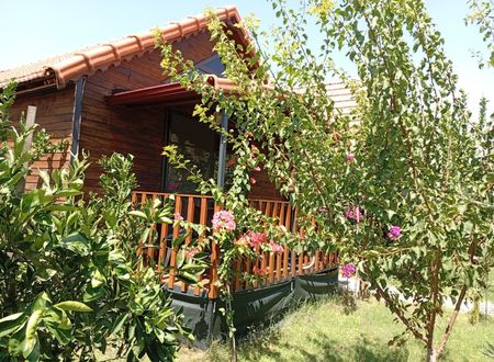 turkey/antalya/rivierabungalowevleridemre7960e7d6.jpg