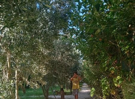 turkey/antalya/rivierabungalowevleridemreb2bb7e20.jpg