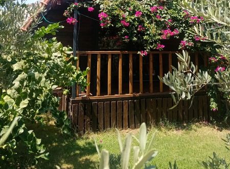 turkey/antalya/rivierabungalowevleridemred04fc5ab.jpg