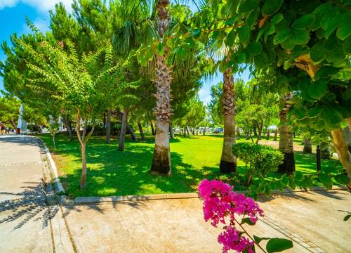 turkey/antalya/serik/altisresorthotelspab00e2072.jpg