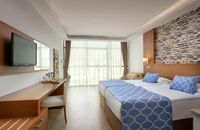 Standard Room without Balcony (2+2)