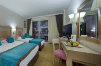 غرفة قياسية مطلة على الأرض