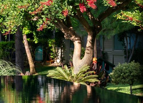 turkey/antalya/serik/susesiluxuryresortd379fd45.jpg