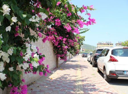 turkey/antalya/tebrizapartkemer97052491.jpg