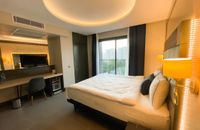 Standart Deluxe Şehir Manzaralı Oda