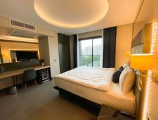 Standart Deluxe Şehir Manzaralı Oda
