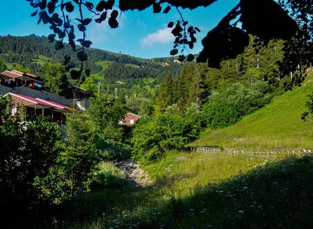 turkey/artvin/danzottatilkoyu20cfb6a3.jpg