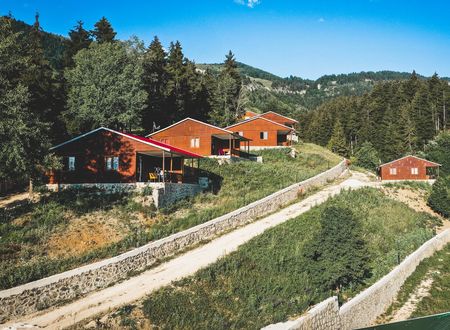 turkey/artvin/danzottatilkoyu4db754d7.jpg