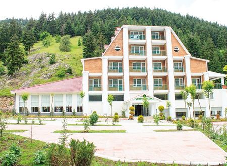 turkey/artvin/greenvalleyhotelsavsatd3315353.jpg