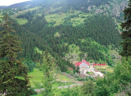 turkey/artvin/greenvalleyhotelsavsatea962662.jpg
