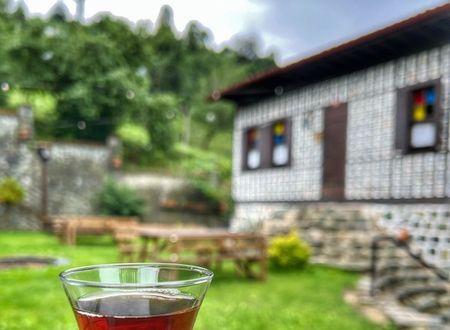 turkey/artvin/osmanagakonagiac384109.jpg