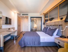 Habitación Deluxe con balcón francés
