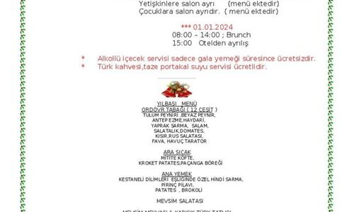 turkey/aydin/kusadasi/palminhotel8c05dfff.jpg
