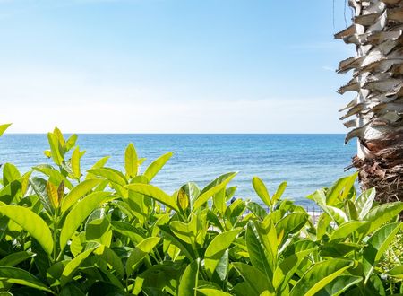 turkey/aydin/kusadasi/sundaybeachhotelb1f061c4.jpg