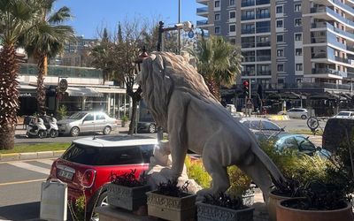 Lion Park Suites & Residence · 4