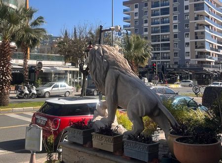 turkey/aydin/lionparksuitesresidence787ae21c.jpg