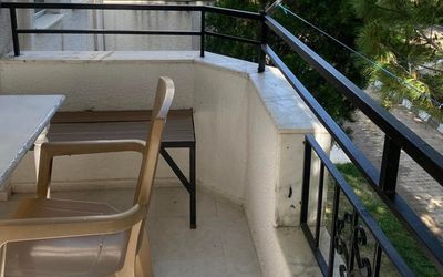 The Palm Clup Apart · 3
