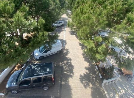 turkey/aydin/palmclubapartotel11acf5d8.jpg