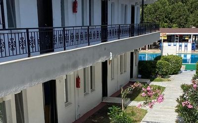 The Palm Clup Apart · 4