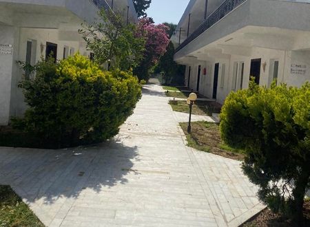 turkey/aydin/palmclubapartotel6ee7efe4.jpg