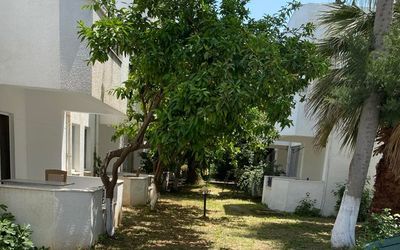 The Palm Clup Apart · 5