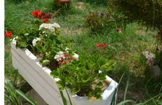 turkey/balikesir/ayvalik/ahmedaaparthotel03570621.jpg