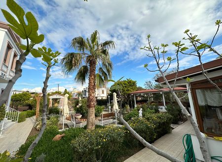 turkey/balikesir/ayvalik/cundaalibeyhan0f4738ff.jpg
