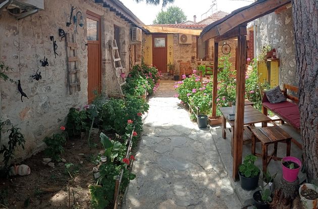 turkey/balikesir/ayvalik/denizkizipansiyon87bf8728.jpg