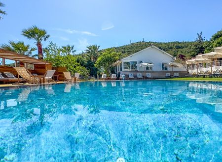turkey/balikesir/ayvalik/gaiapansiyonf877e5b0.jpg