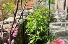 turkey/balikesir/ayvalik/masalkucukkoyboutiquehotel7327ed3f.jpg