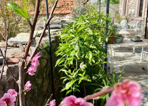 turkey/balikesir/ayvalik/masalkucukkoyboutiquehotel7327ed3f.jpg