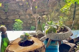 turkey/balikesir/ayvalik/masalkucukkoyboutiquehotel9b98a9cc.jpg