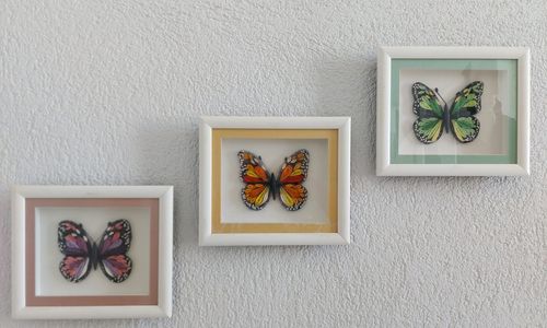 turkey/balikesir/ayvalik/mimosahouseayvalik607f4744.jpg