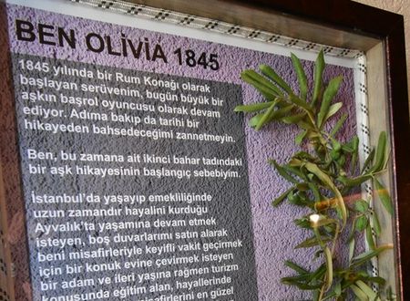 turkey/balikesir/ayvalik/olivia1845guesthouseayvalik3b6ca2e5.jpg