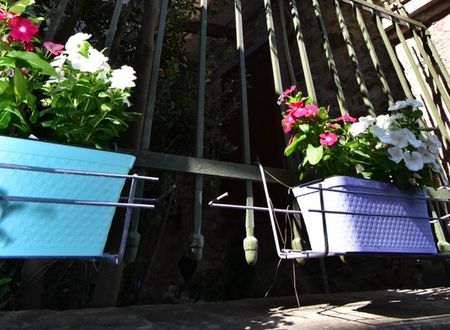 turkey/balikesir/ayvalik/olivia1845guesthouseayvalikb1a1d419.jpg