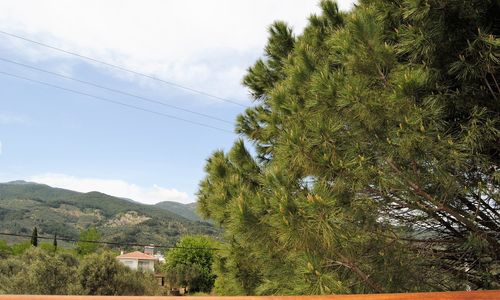 turkey/balikesir/edremit/beyazkonakgurebutikotelb8122525.jpg