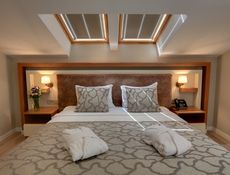 Junior Terrace Suite with Sea View