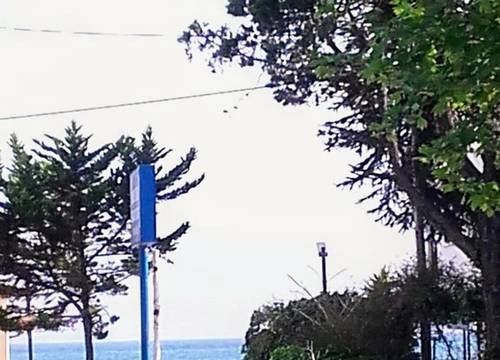 turkey/balikesir/edremit/hancibutikotel14b8a3e3.jpg