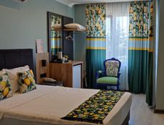 Double/ 2 Kişilik Standart Deniz Manzaralı Oda
