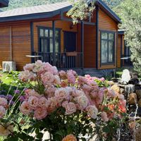Fatya Maslinka Bungalows