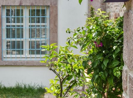 turkey/balikesir/lunariaguesthouse1c7c41df.jpg