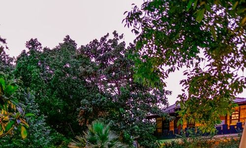 turkey/balikesir/manastirhankazdaglaributikotelde0656d0.jpg