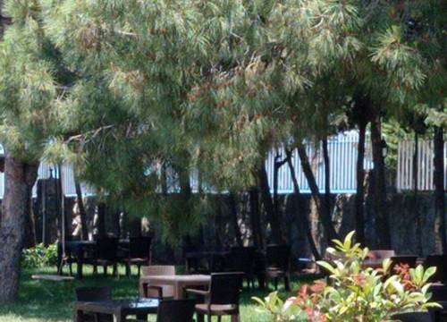 turkey/balikesir/mavikoybeachresort0fcc8561.jpg